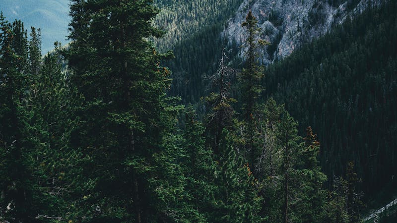 UNEP 环境数据浏览器